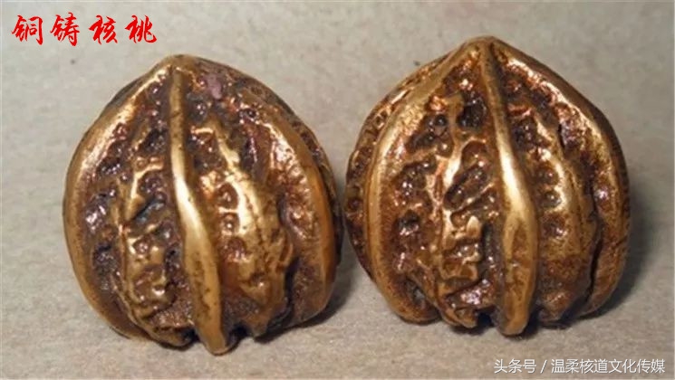 魔鬼核桃是什么,魔鬼核桃