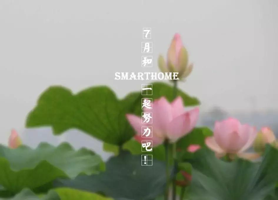 7月超级省钱攻略,7月必看指南