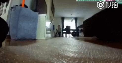 适合陪孩子玩的亲子游戏大全,亲子游戏互动游戏大全