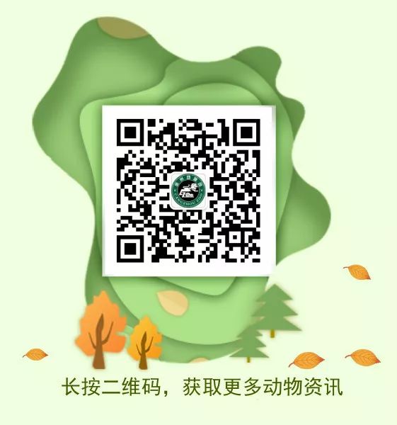 夜场游乐园24小时营业,园博游乐园夜场门票