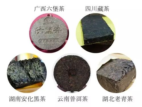 茶叶的分类的六大基本茶类有哪些,六大茶类各个茶的特点