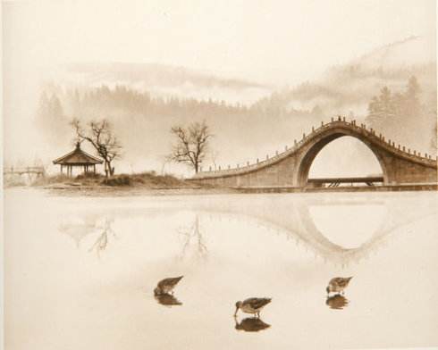 今日词牌：6首《蓦山溪》，试问花知否？