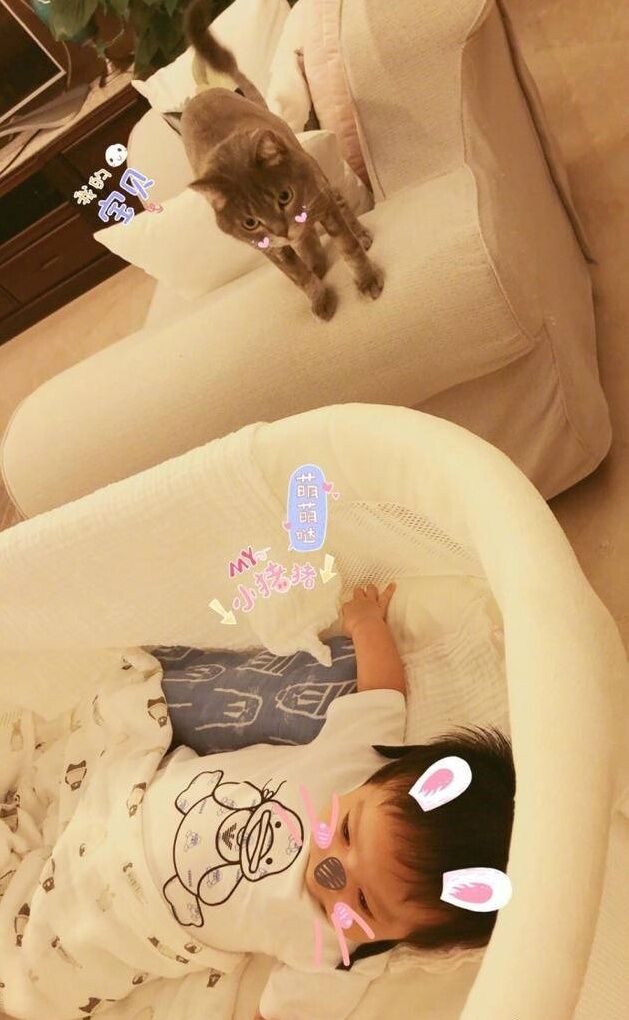 李晟儿子图片大全,李晟儿子近照曝光