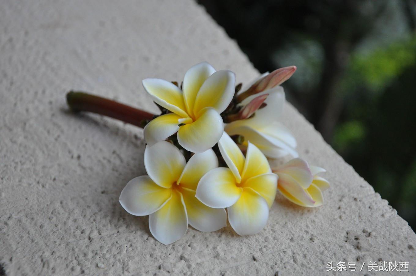 三亚，拥有全海南岛最美丽的海滨风光