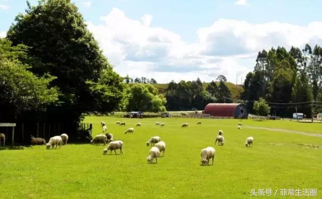 在菲律宾首都买一套房的钱，去别的国家可以买点啥……