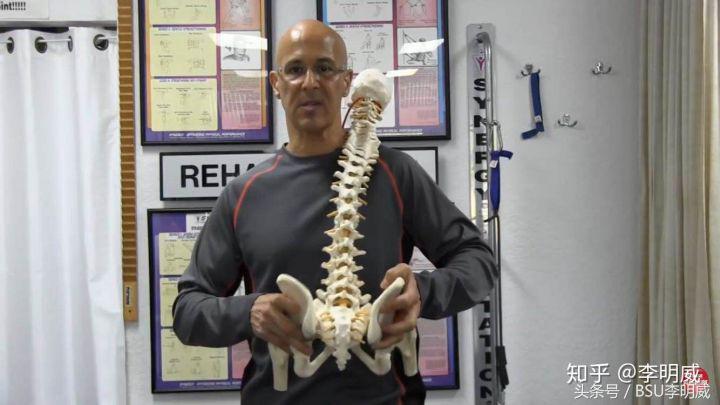 拉伸骨盆的正确方法,改善骨盆前倾的拉伸动作