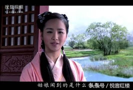 说雪雁——单纯透明，口齿伶俐