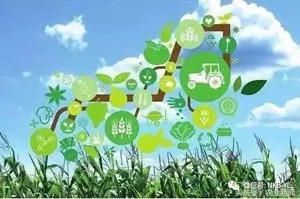 互联网农业应用,互联网农业的六大模式