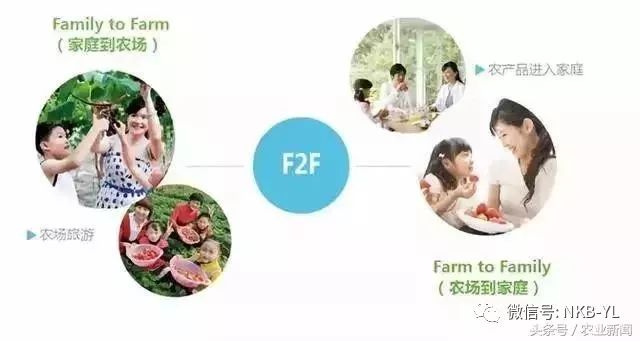 互联网农业是怎么做的视频,互联网农业创业技巧大全