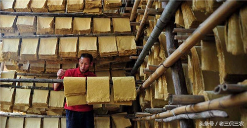 农村最赚钱的三个冷门行业,农村可能暴富的4种行业你敢干吗