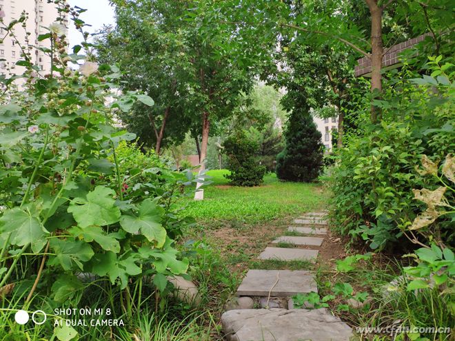 8000元的小米8骁龙845怎么样,小米8骁龙845哪块性价比最好