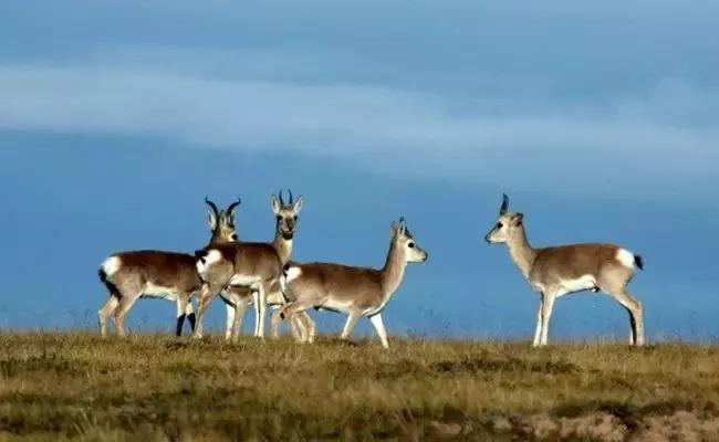 孟达天池与孟达自然保护区,西宁孟达天池旅游攻略