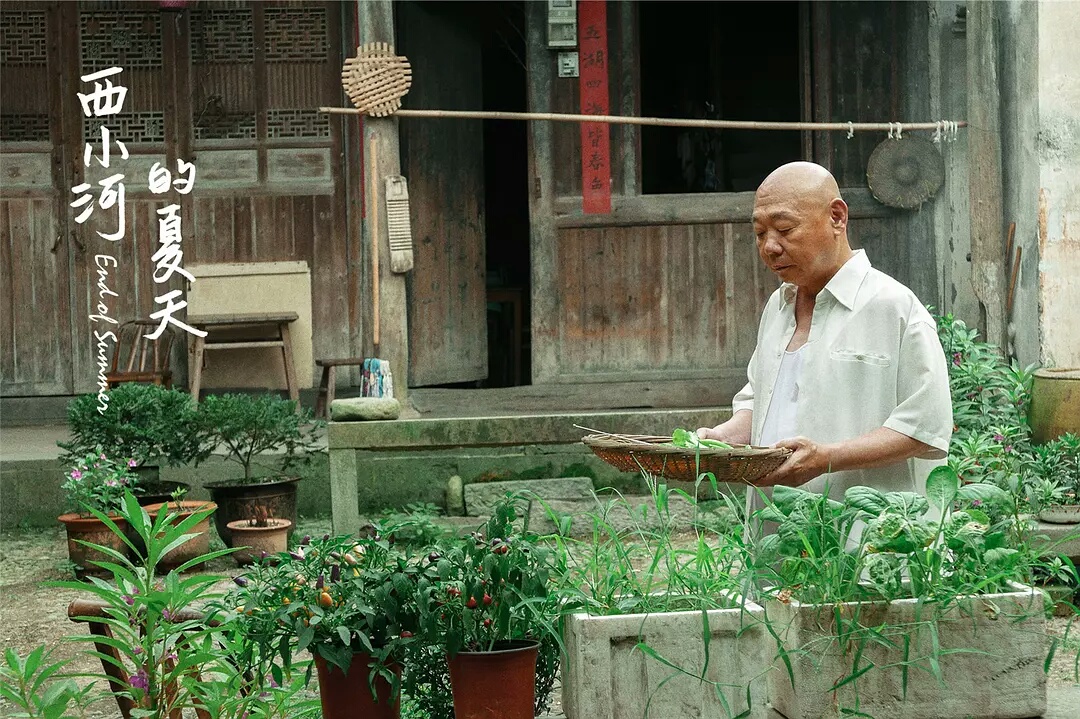 西小河的夏天电影,西小河的夏天电影好看吗