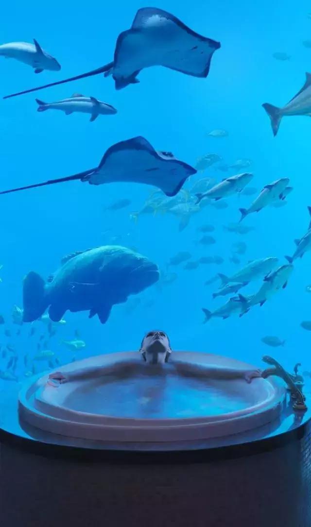 迪拜旅游攻略最低价,迪拜旅游攻略省钱