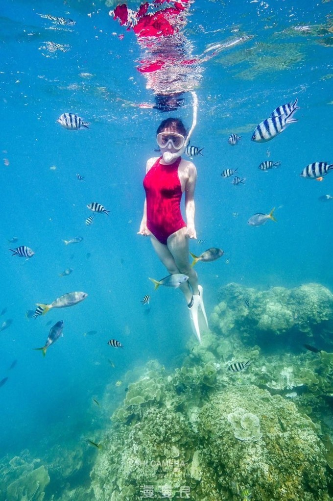 一个人的浪漫旅行视频,一个人的浪漫旅行自由自在