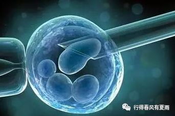 冷冻卵子是不是后悔药,冷冻卵子取出痛苦吗