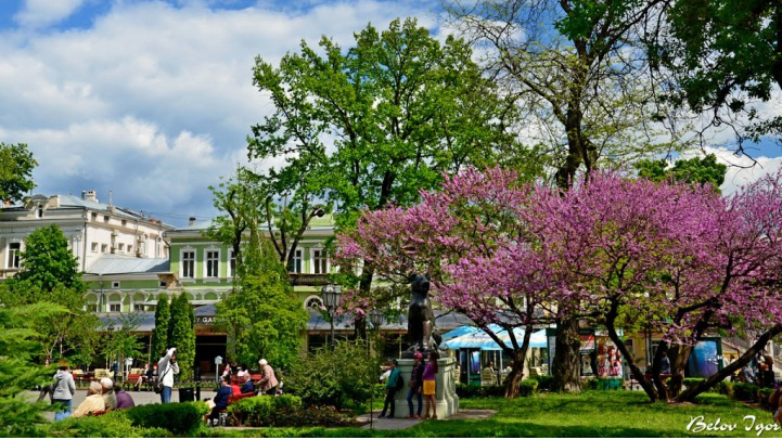 女生太美是什么体验,太美了是种怎样的体验