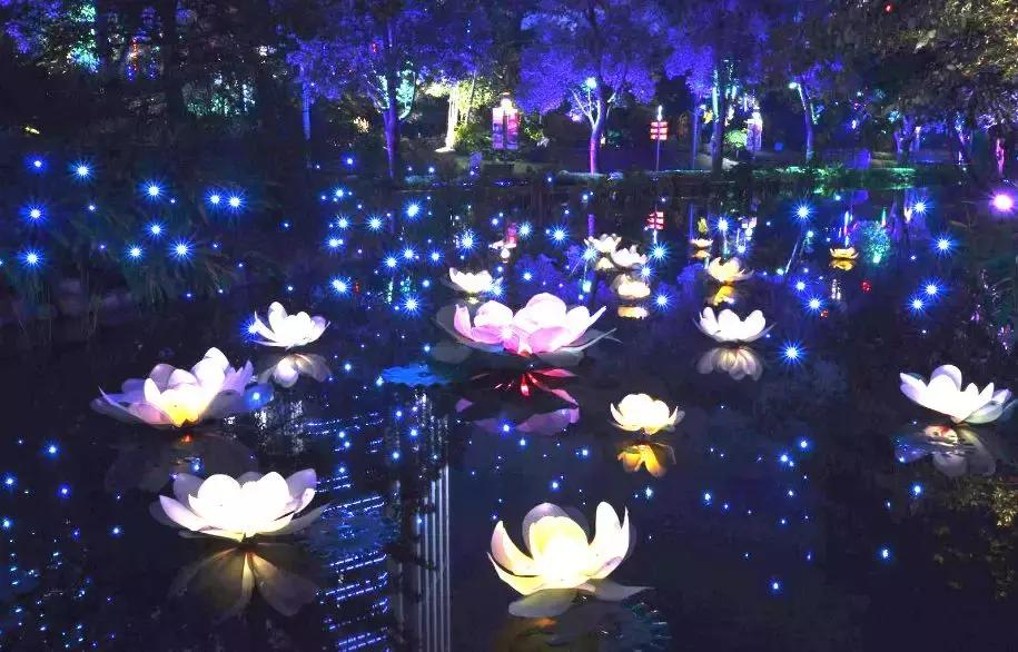 十堰好玩的地方暑假,十堰暑假好玩的地方一日游