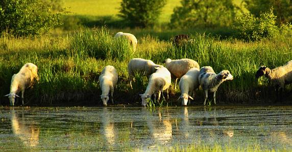 波兰美白面膜测评,德国抗老面膜推荐