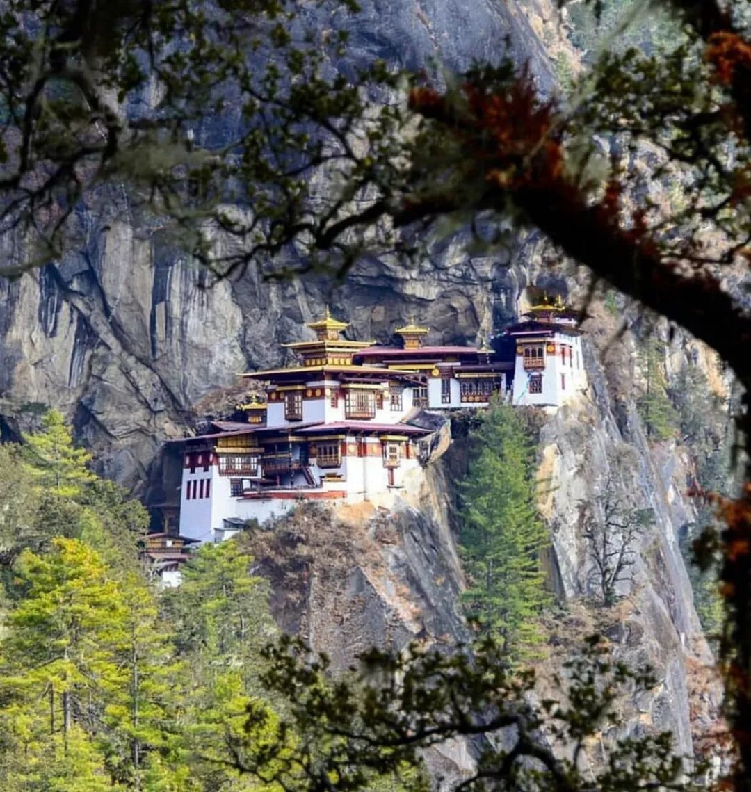 安缦东京度假村,东京安缦度假村