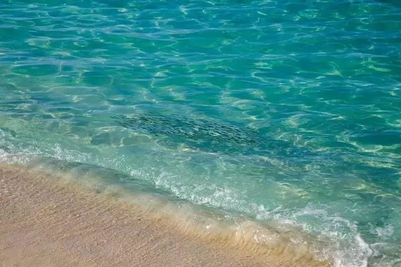 马代的正确打开方式,了解马说作者韩愈