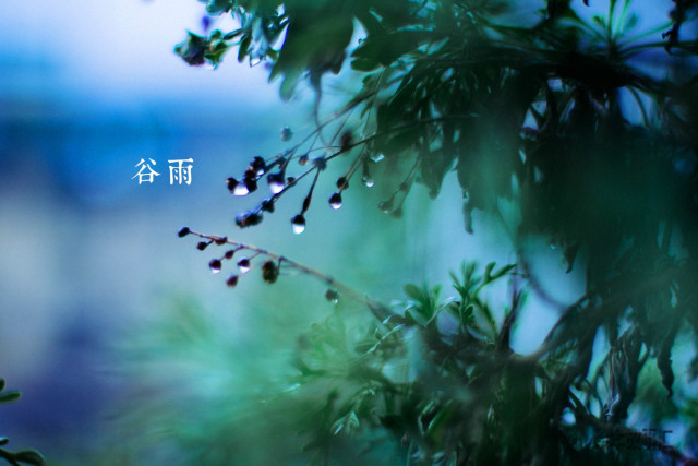 儿童睡前故事大全二十四节气,二十四节气故事睡前