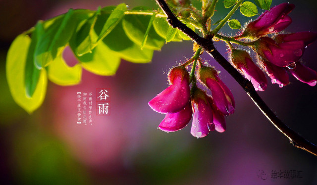 儿童睡前故事大全二十四节气,二十四节气故事睡前