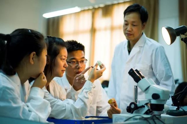 鏉庤姳瀹囧崕鏁欒偛闆嗗洟鎬昏,瀹囧崕鏁欒偛鏉庤姳涓汉璧勬枡