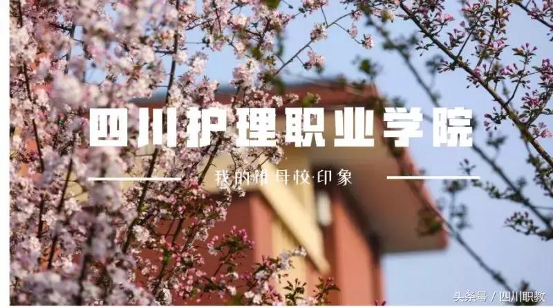 四川最美专科大学，各个都长得这么好看