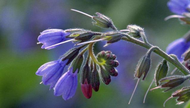 容易长湿疹教你3个方法赶走湿疹,宝宝湿疹快速消除小窍门