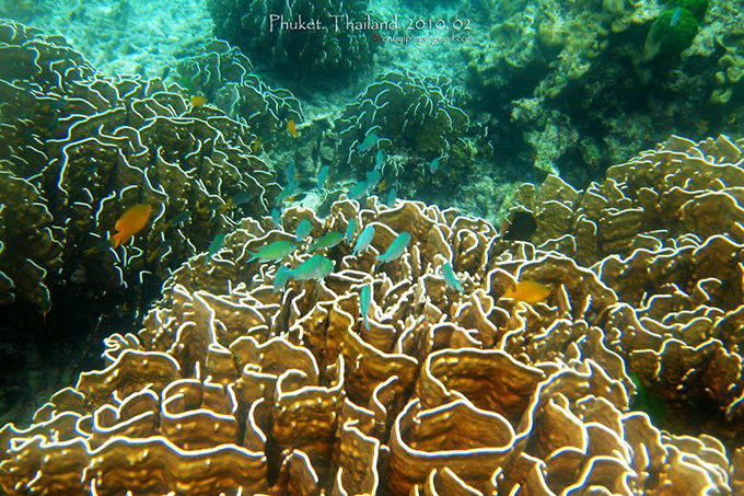 最适合旅游的世界上的海岛,世界上最休闲的海岛是什么