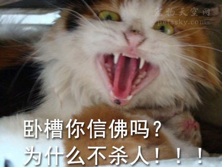 男朋友不喜欢养猫养狗,如果男朋友不喜欢你养宠物