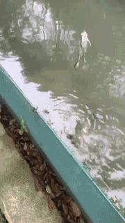 蔬果草莓采摘园,常州采摘适合夏天玩的地方