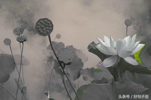 禅悟人生经典语录少说话,禅悟人生最简单的一段话