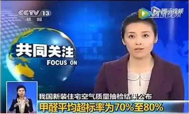 除甲醛盆栽推荐一下,甲醛盆栽哪个效果最好还好养活