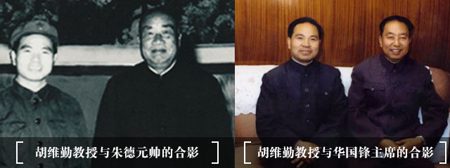 补气养血调理月经药,补血补气调理月经多