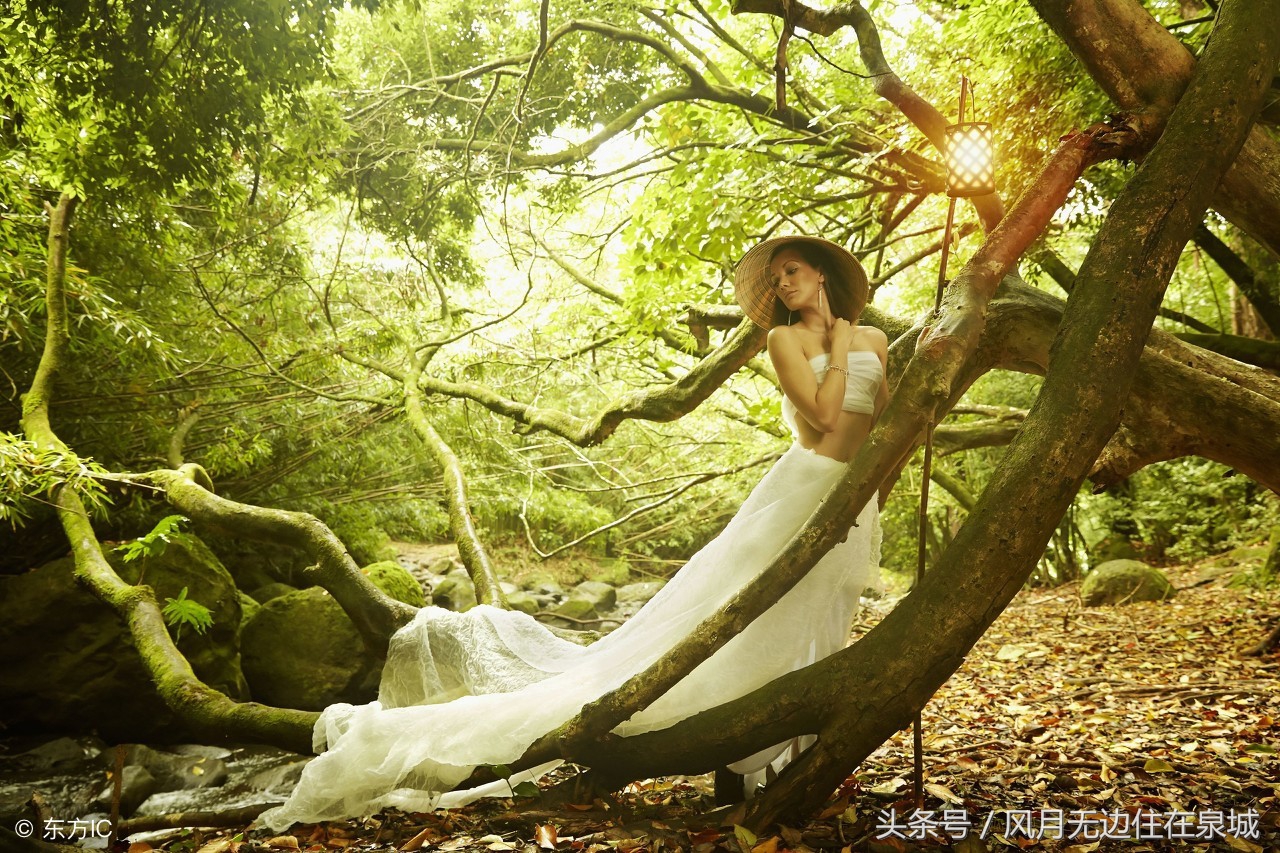 明年起哪些费用全部取消,3月1日起哪些费用全部取消