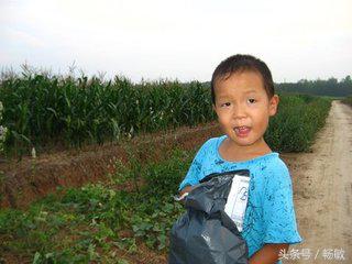 不起眼的小玩意儿,普普通通的小东西