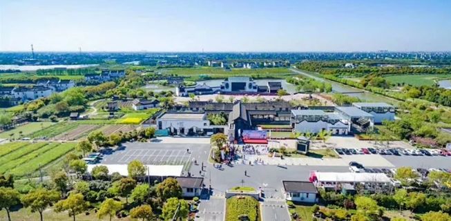 上海观景赏荷,7月赏荷花好去处