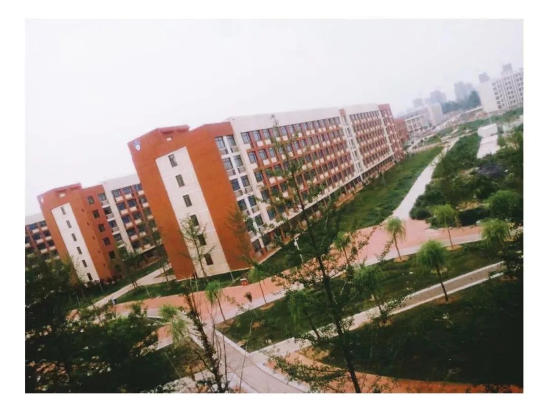 高招｜今年多少分可以上郑州电力高专、黄河水院、郑州铁院、河南建院？这份独家资料供你参考