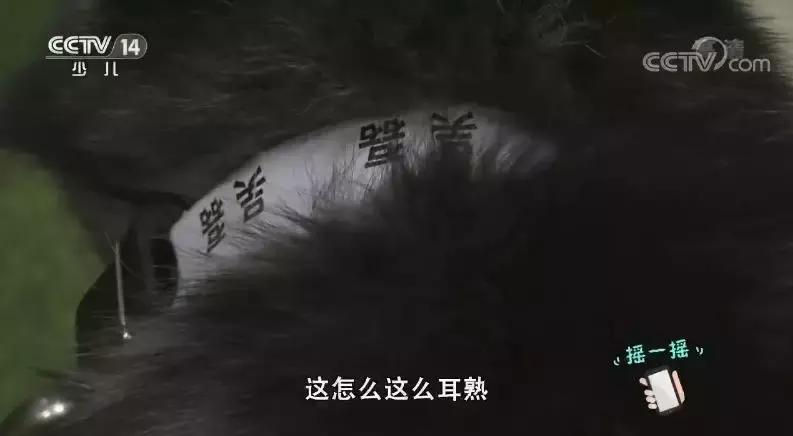 微星时代全集,微星时代免费观看完整版