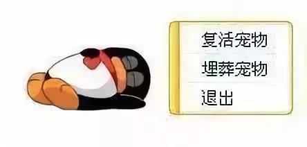 QQ宠物停运｜“主人你要好好的，我先走了”