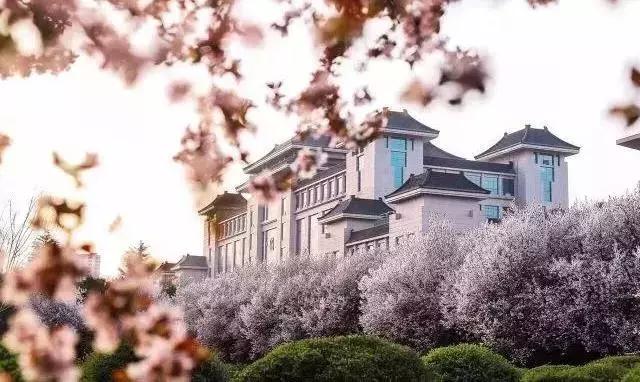 陕西高校｜来到陕师大，一起做最亮的闪star吧！