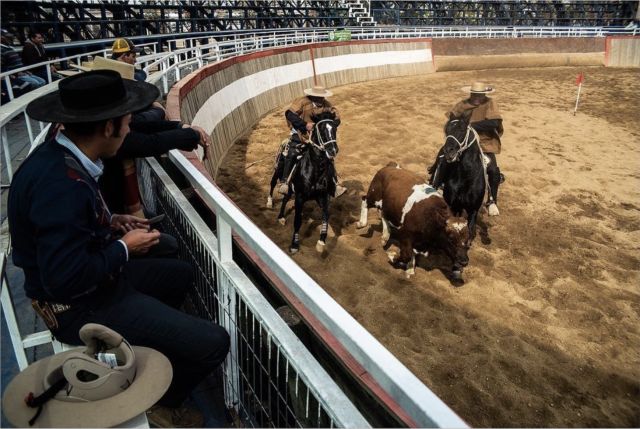 智利奥林匹克运动会,智利泛美运动会