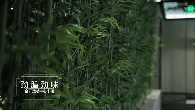 劲话论,乔丹系列篮球鞋哪双最值得购买