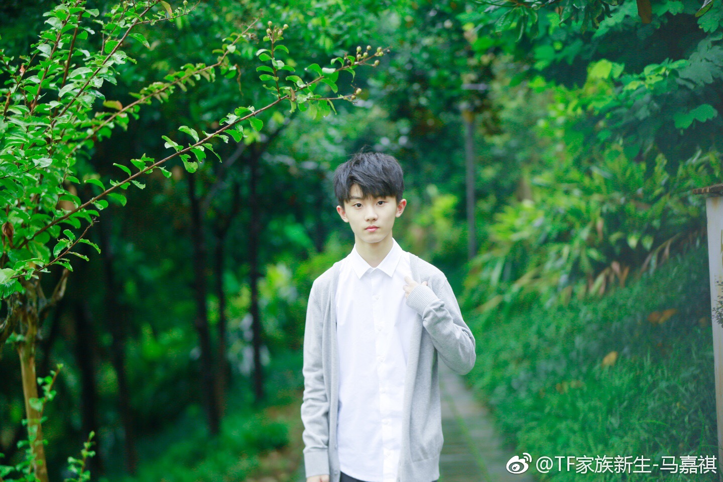 tf瀹舵棌涓変唬璇勪环鏄撶儕鍗冪幒,tfboys涓轰粈涔堝彧鏈夋槗鐑婂崈鐜哄彂灞曞ソ