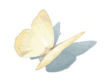 真香原版图片大全,新加坡图文旅游攻略