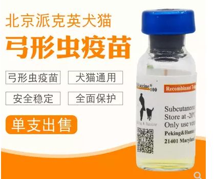 弓形虫疫苗有没有必要给猫打,不要打狂犬疫苗的动物