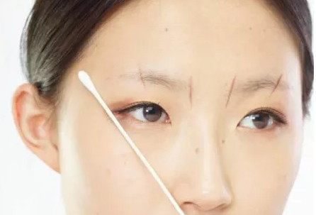 画眉教程推荐适合新手,画眉推荐初学者