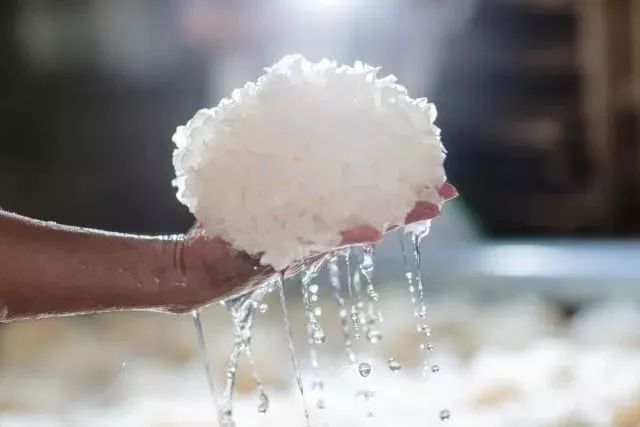 粘液多的食物,粘液蛋白多的食物